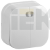 EVH21-K01-10 | Выключатель 2-клавишный для открытой установки с индикацией ВС20-2-1-ХБ 10А GLORY белый | IEK